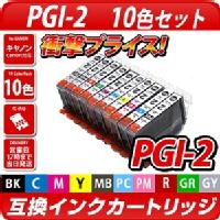 PGI-2/10MP〔キヤノン/Canon〕対応 互換インクカートリッジ 10色パック